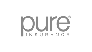 Pure insurance grey transparent logo