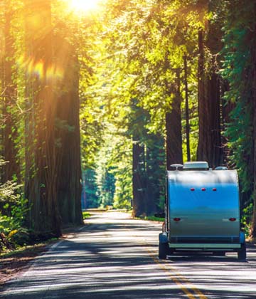 Vehicle on the road with trees surrounding both sides