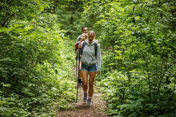 Photo of a group of young people hiking through the forest